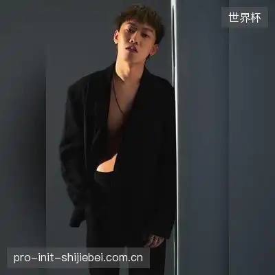 段泽霁